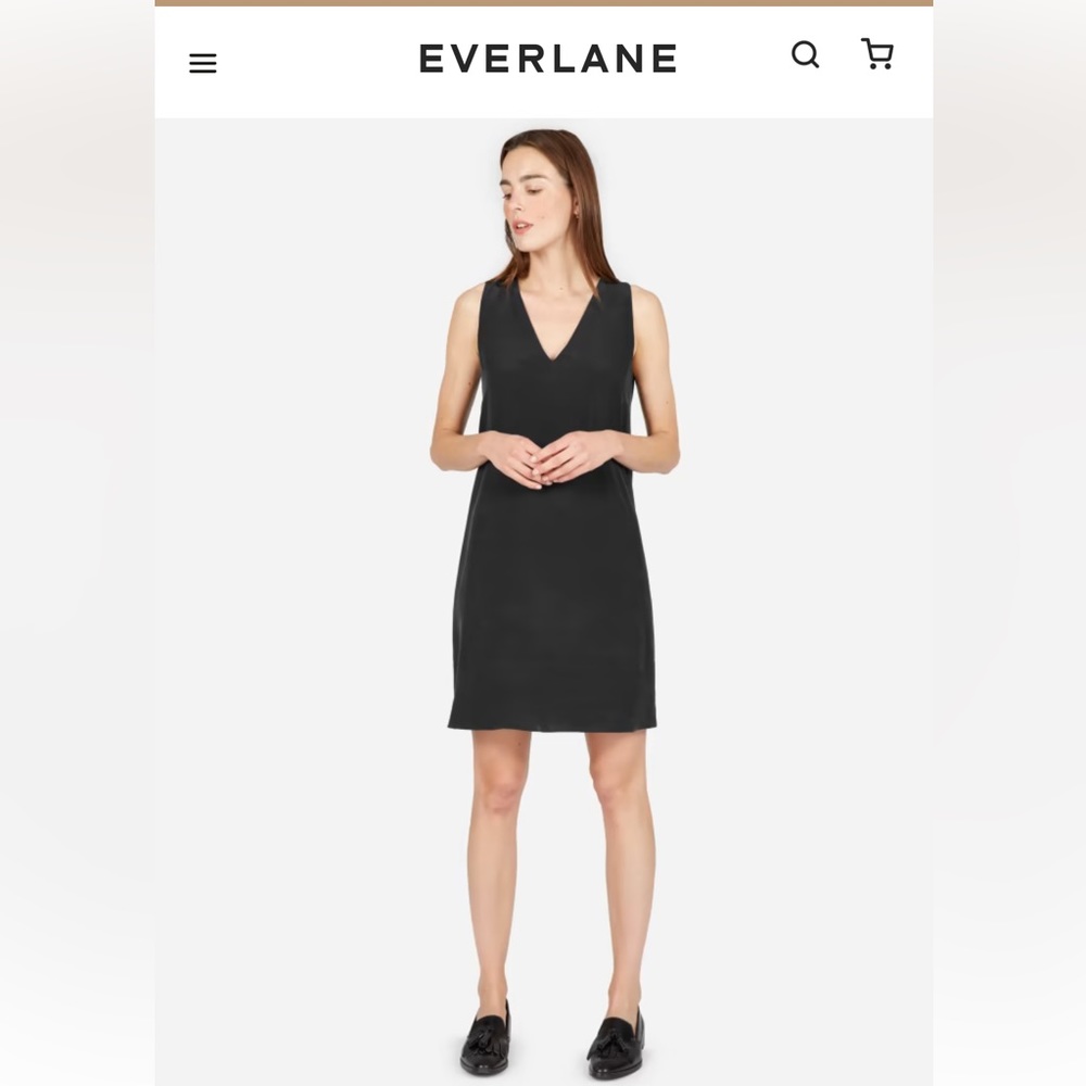 The Double-Lined Silk V-Neck Dress size 6